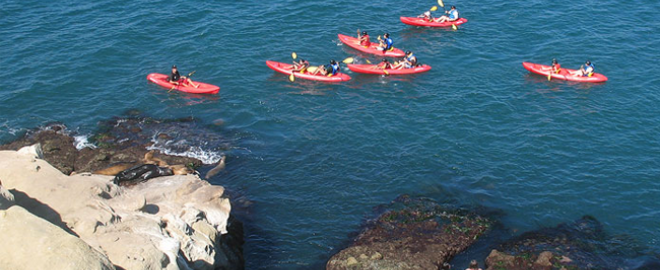 Kayak Tour of the La Jolla Ecological Reserve and Sea Caves, San Diego